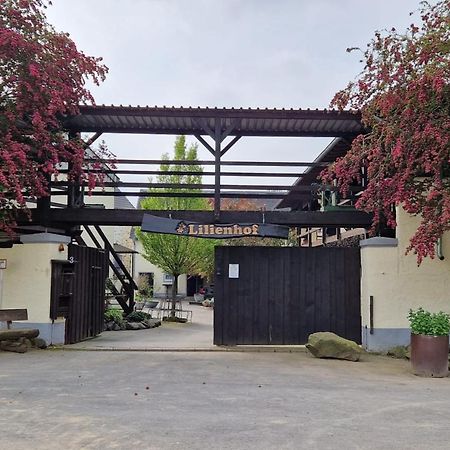 Besondere Ferienwohnung Spirit Auf Idyllischem Reiterhof Nahe Burg Eltz Munstermaifeld Exterior photo